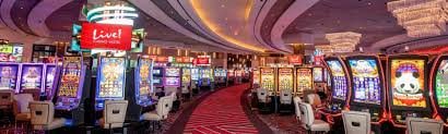 6lotter Live Casino Dealer နှင့် ကစားသမားများ ကစားနေသောပုံ